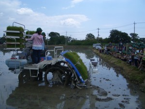 CIMG3685